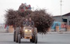 Bunlar sadece türkiyede olur