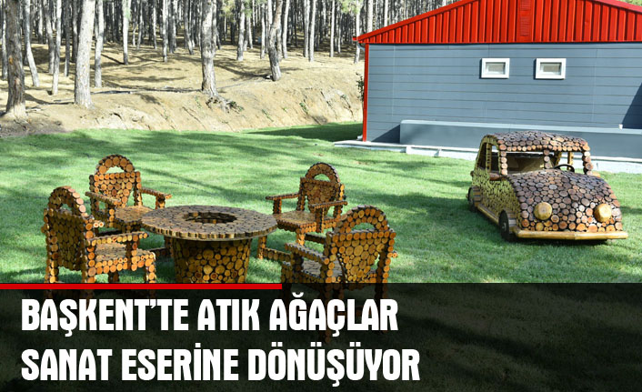 Başkent'te atık ağaçlar sanat eserine dönüşüyor