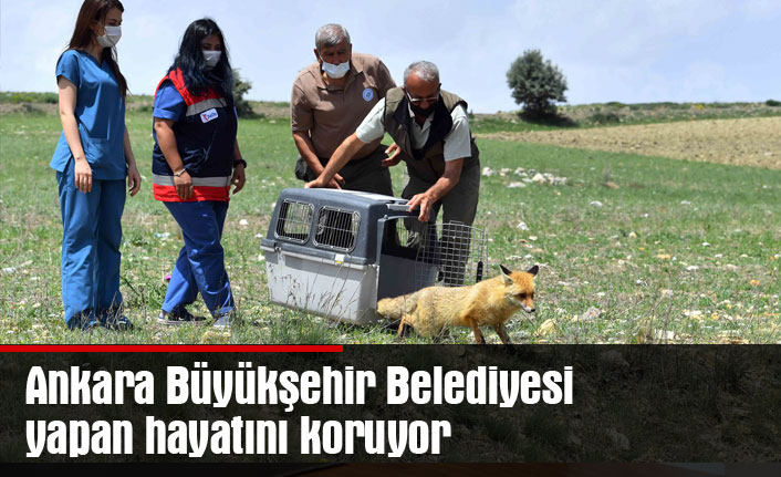 Ankara Büyükşehir Belediyesi yapan hayatını koruyor