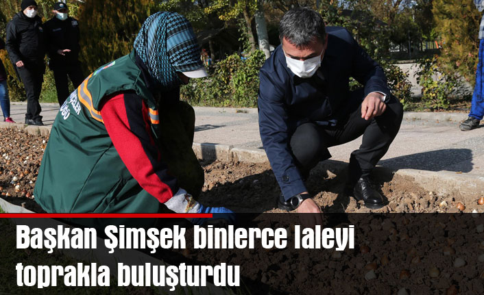 Başkan Şimşek binlerce laleyi toprakla buluşturdu