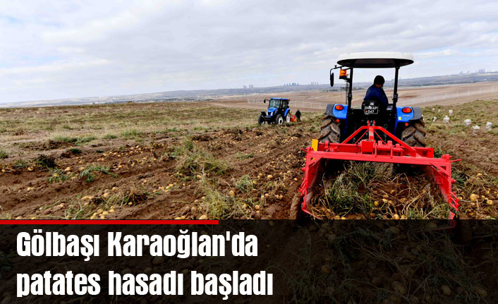 Gölbaşı Karaoğlan'da patates hasadı başladı