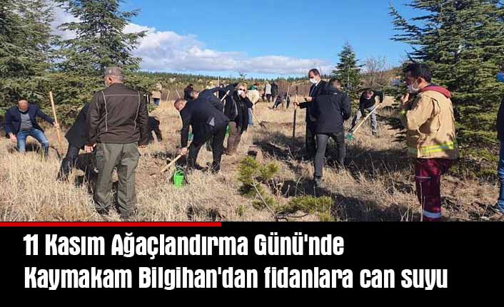 Kaymakam Bilgihan fidan dikti