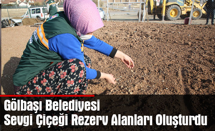 Gölbaşı Belediyesi Sevgi Çiçeği Rezerv Alanları Oluşturdu