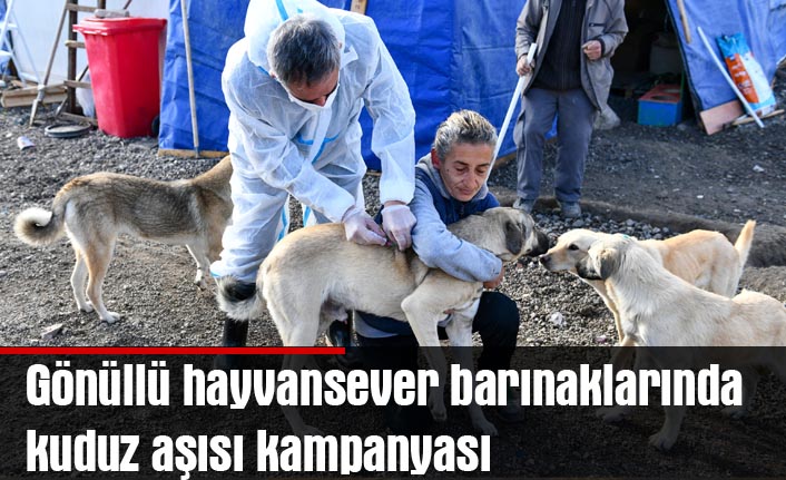 Gönüllü hayvansever barınaklarında kuduz aşısı kampanyası
