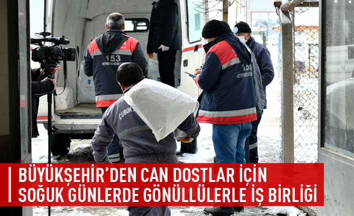 BÜYÜKŞEHİR’DEN CAN DOSTLAR İÇİN SOĞUK GÜNLERDE GÖNÜLLÜLERLE İŞ BİRLİĞİ