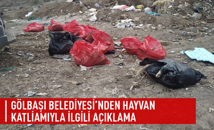 Gölbaşı Belediyesinden hayvan katliamıyla ilgili açıklama