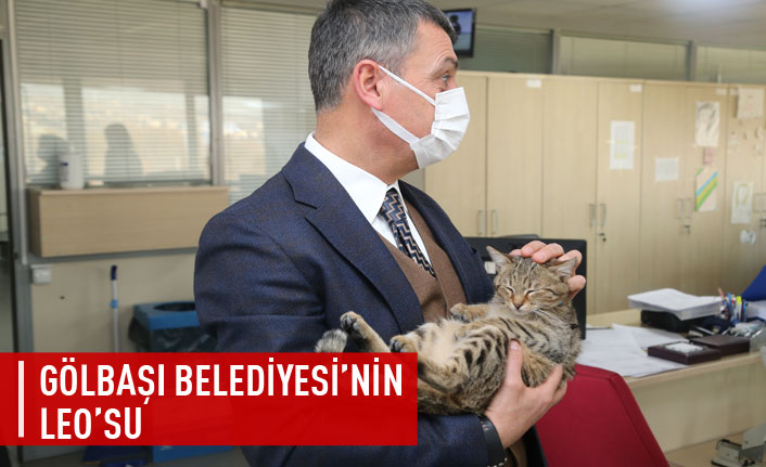 Leo, Gölbaşı Belediyesi’nin Maskotu Oldu