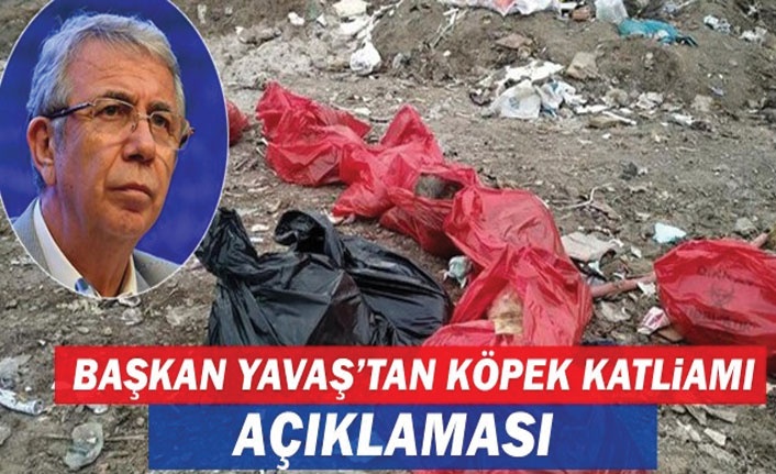 Mansur Yavaş'tan köpek katliamına ilişkin açıklama