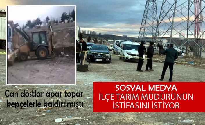 Sosyal medya İlçe Tarım Müdürü'nün istifasını istiyor