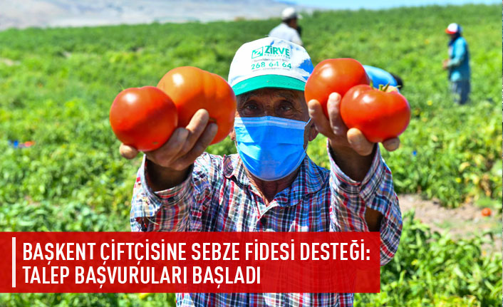 Başkent çiftçisine sebze fidesi desteği