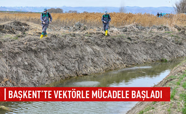 Başkent'te vektörle mücadele başladı