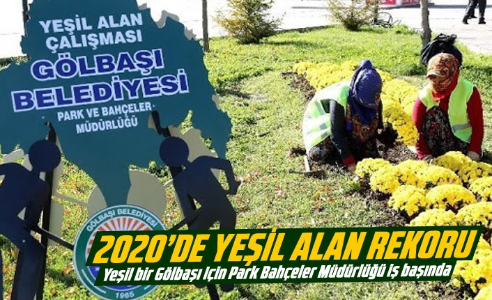 2020'de yeşil alan rekoru