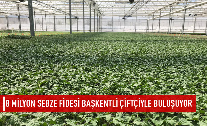 8 milyon sebze fidesi çiftçiyle buluşuyor