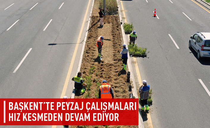 Başkent'te peyzaj çalışmaları devam ediyor