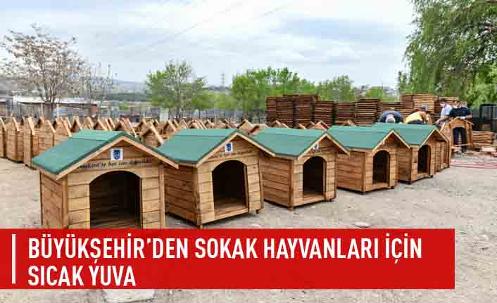 Büyükşehir'den sokak hayvanları için sıcak yuva