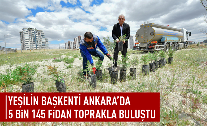 Ankara'da 5 bin 145 fiden toprakla buluştu