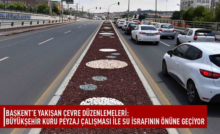 Başkent'te kuru peyzaj dönemi