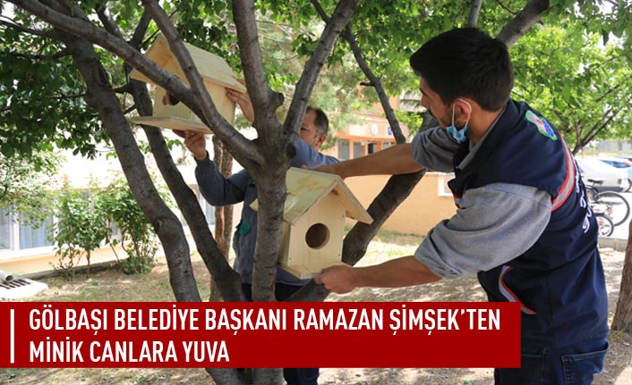 Gölbaşı belediyesi'nden kuşlara yuva