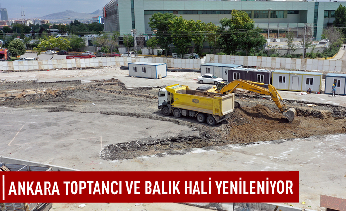 Ankara toptancı ve balık hali yenileniyor