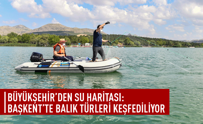 Başkent balık türleri keşfediliyor