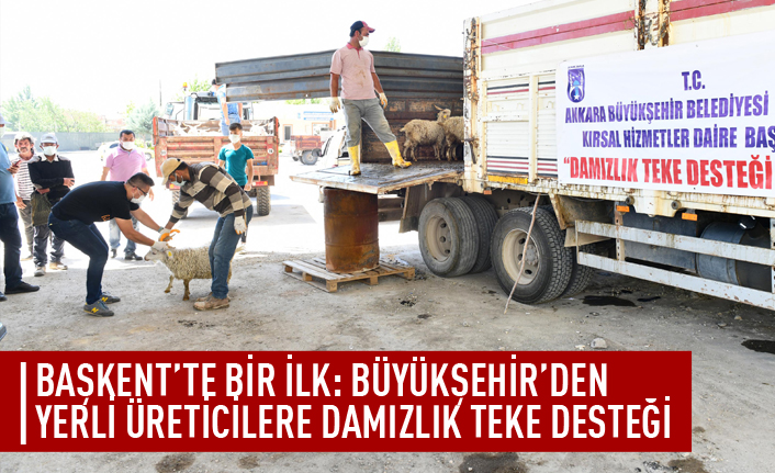 Büyükşehir'den üreticilere teke desteği