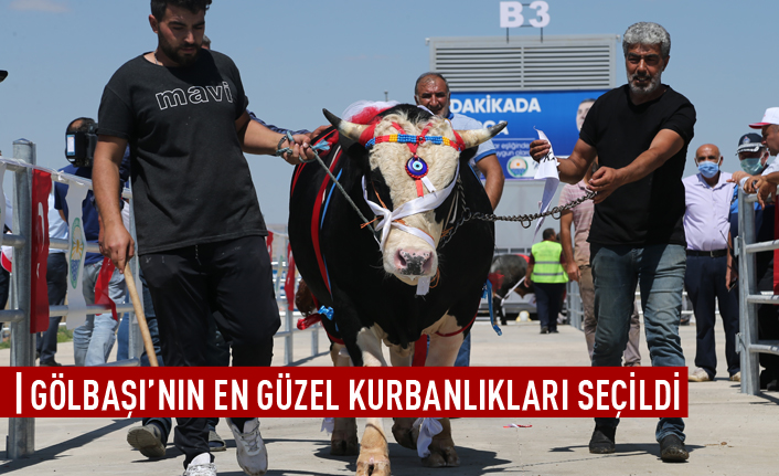 Gölbaşı'nın en güzel kurbanı seçildi