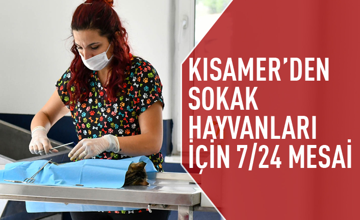 KISAMER'den sokak hayvanları için mesai