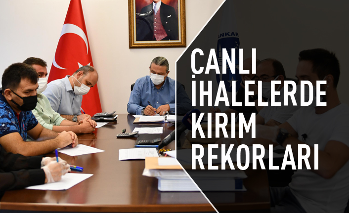 Canlı ihalelerde kırım rekoru