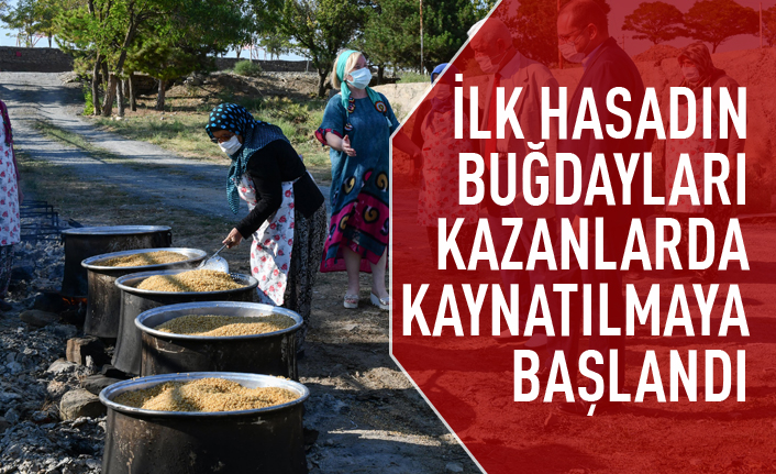 İlk hasadın buğdayları kazanlarda kaynatılmaya başlandı