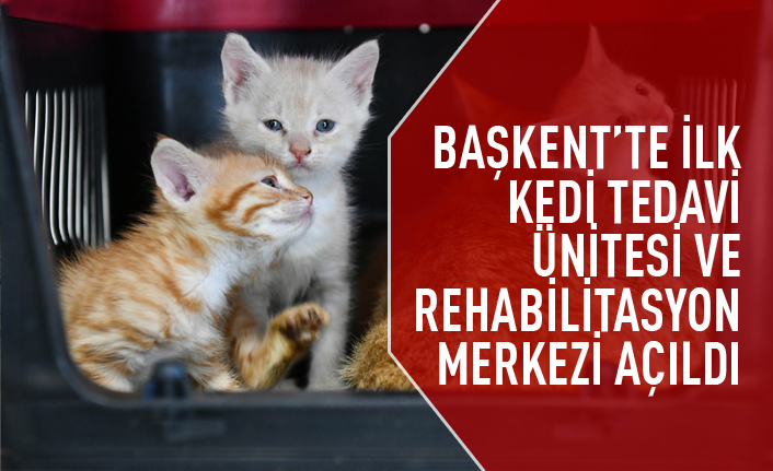 Sincan Kedi Tedavi Ünitesi ve Rehabilitasyon Merkezi açıldı