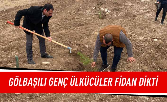 Gölbaşı Ülkü Ocaklarından fidan dikim etkinliği