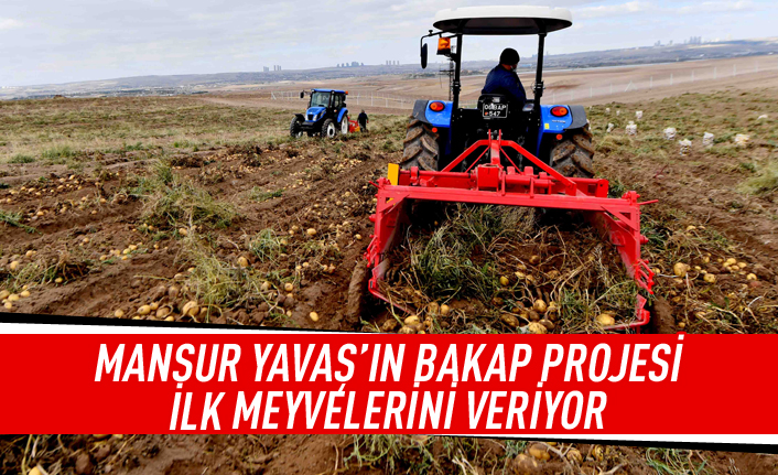 Mansur Yavaş'ın BAKAP projesi meyvelerini veriyor