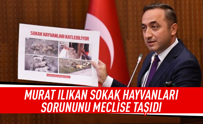 Murat Ilıkan sokak hayvanı sorununu gündeme taşıdı