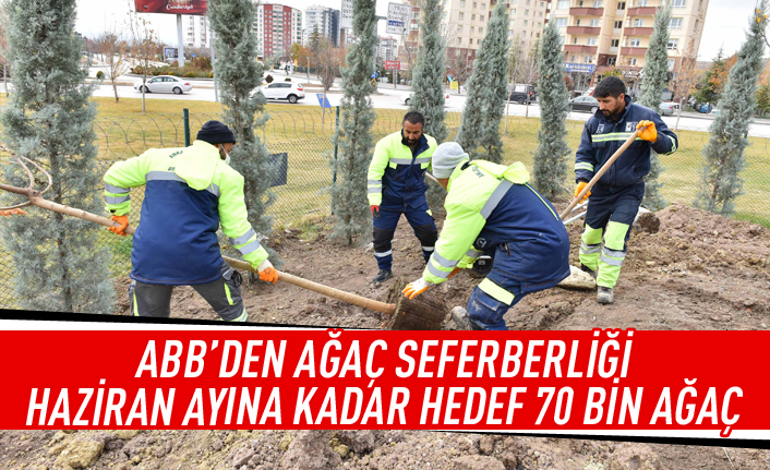 ABB'den ağaç seferberliği