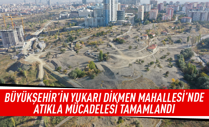 Yukarı Dikmen Mahallesi temizlendi