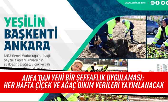 ANFA'dan yeni bir şeffaflık uygulaması: her hafta çiçek ve ağaç dikimi verileri yayımlanacak