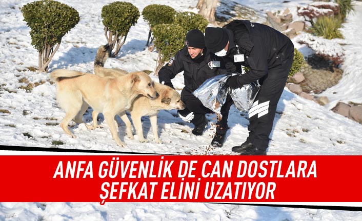 ANFA güvenlik de can dostlara şefkat elini uzatıyor