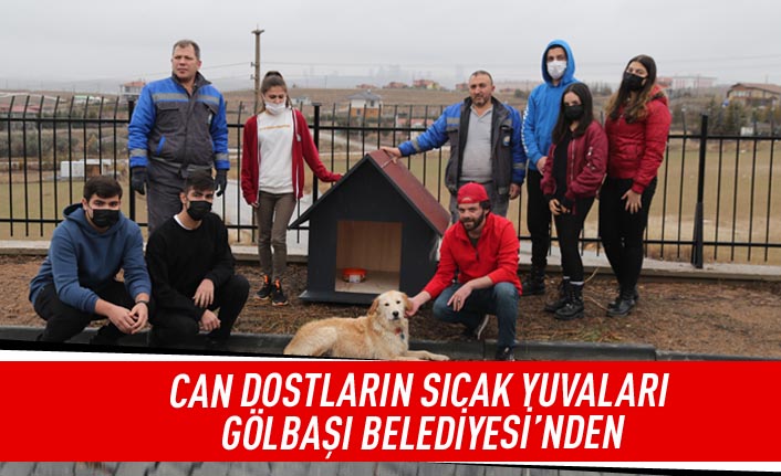 Öğrenciler İstedi Gölbaşı Belediyesi Patileri Yuvalarına Kavuşturdu