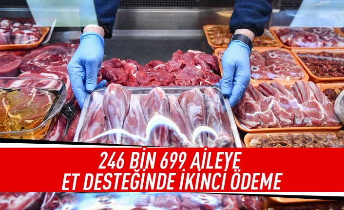 246 bin 699 aileye et desteğinde ikinci ödeme