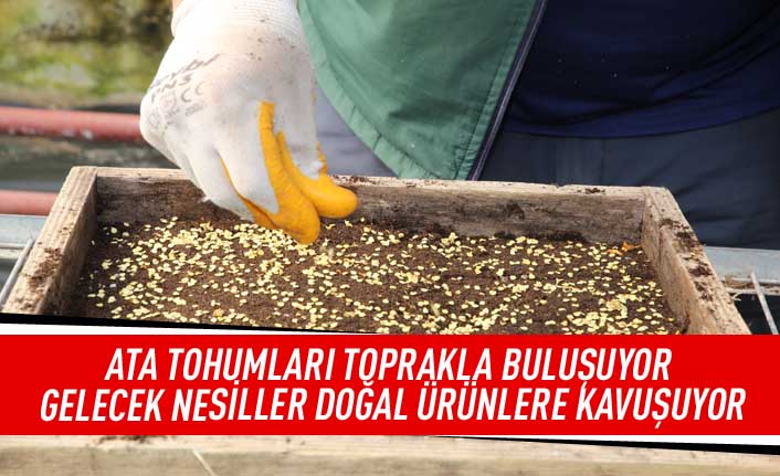 Gölbaşı Belediyesi Ata Tohumlarını Toprakla Buluşturdu…