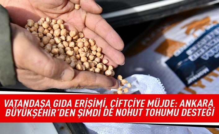 Vatandaşa gıda erişimi,çiftçiye müjde: Ankara Büyükşehir'den şimdide nohut tohumu desteği