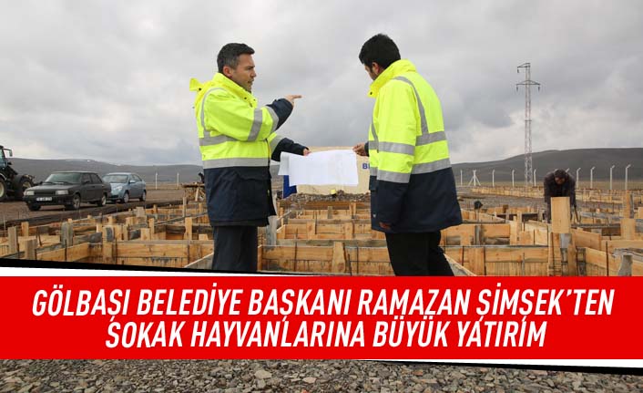 Gölbaşı Geçici Hayvan Barınağı ve Rehabilitasyon Merkezi Hizmete Açılıyor, Can Dostlar Evlerine Kavuşuyor…