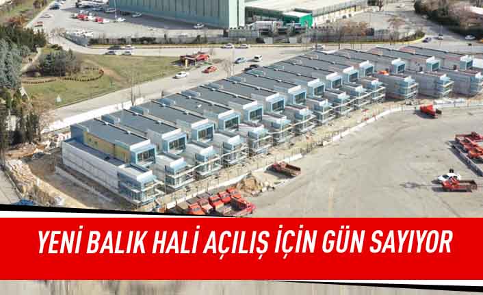 Yeni balık hali açılış için dün sayıyor