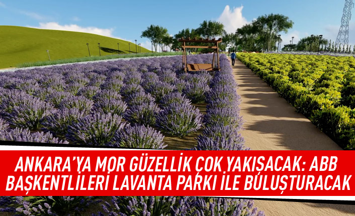 Ankara'ya mor güzellik çok yakışacak: ABB Başkentlileri lavanta parkı ile buluşturacak