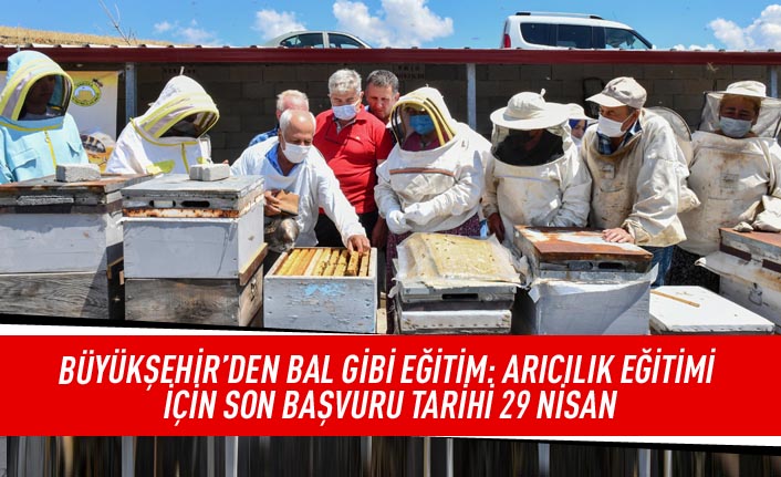 Büyükşehir'den bal gibi eğitim: Arıcılık eğitimi için son başvuru tarihi 29 nisan