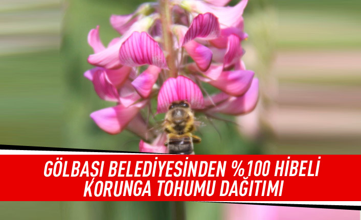 Gölbaşı Belediyesi Çiftçinin Yanında Olmaya Devam Ediyor