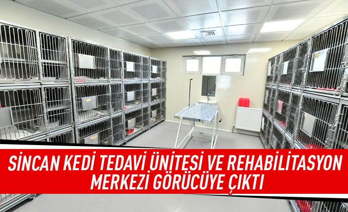 Sincan Kedi Tedavi Ünitesi ve Rehabilitasyon Merkezi görücüye çıktı