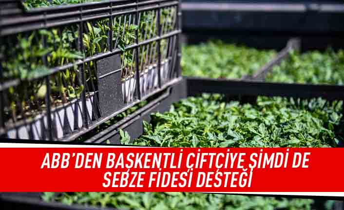 ABB'den Başkentli çiftçiye şimdi de sebze fidesi desteği