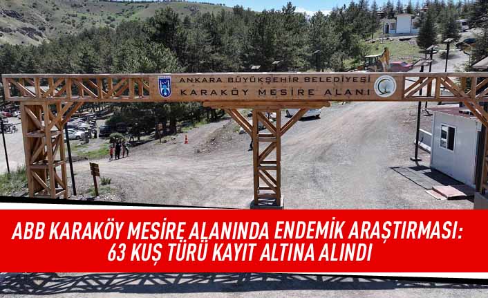 ABB Karaköy mesire alanında endemik araştırması: 63 kuş türü kayıt altına alındı