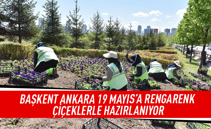 Başkent Ankara 19 Mayıs'a rengarenk çiçeklerle hazırlanıyor